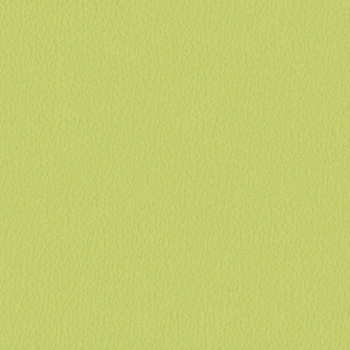 Savoy 444018