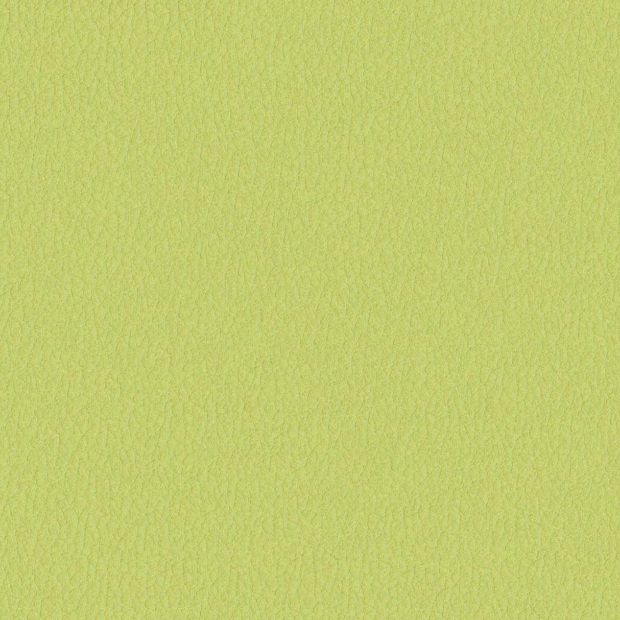 Savoy 444018