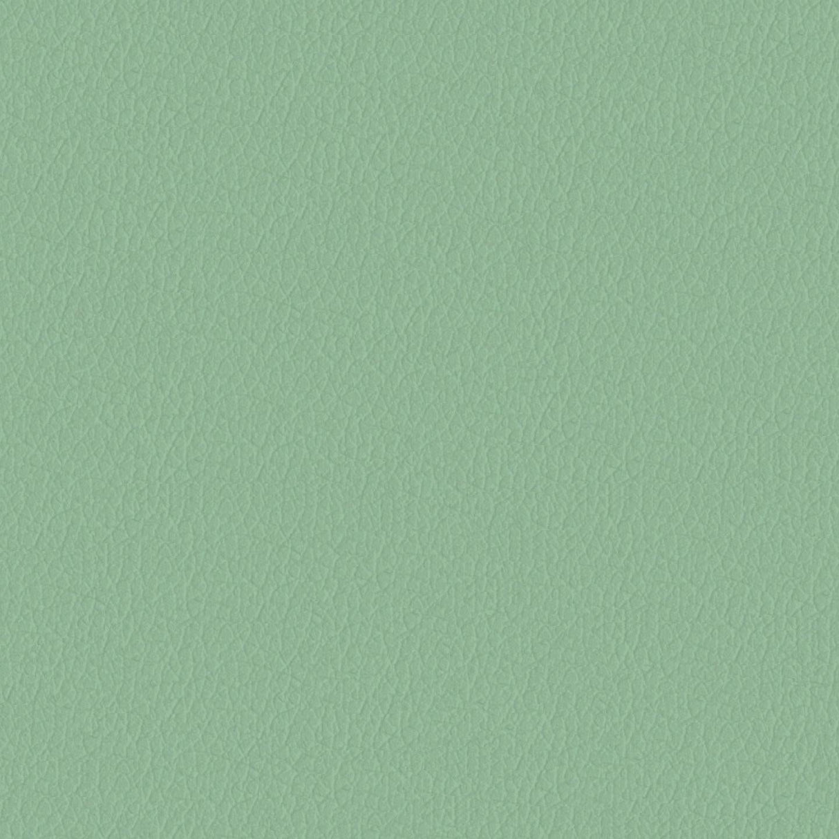 Savoy 445038
