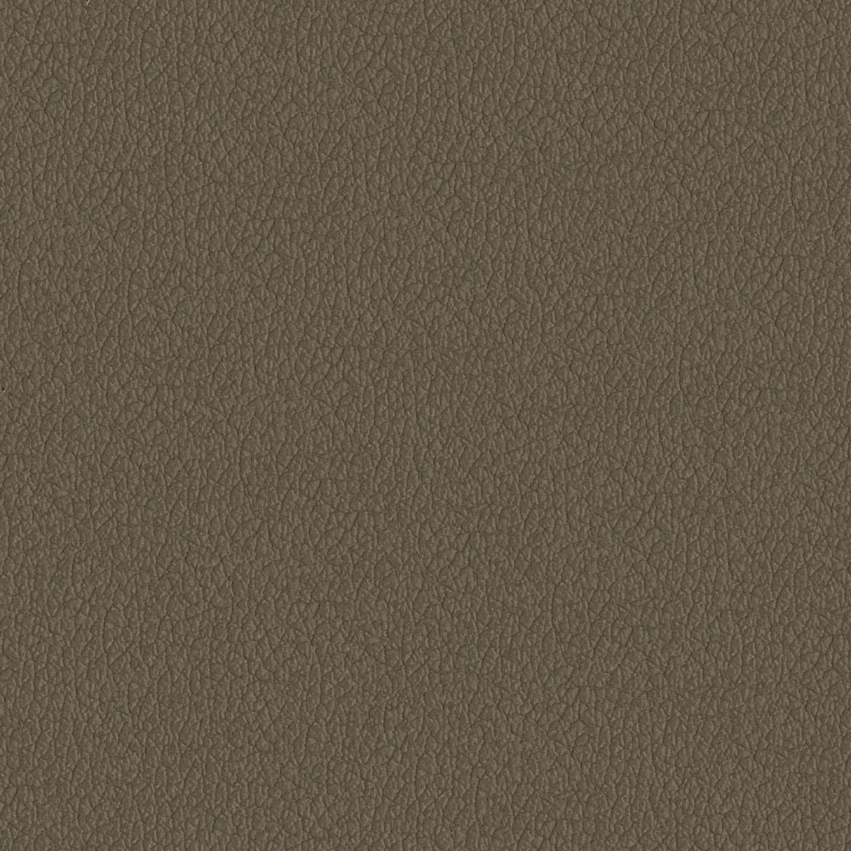 Savoy 446058