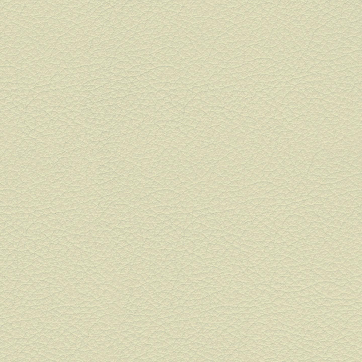 Savoy 448014