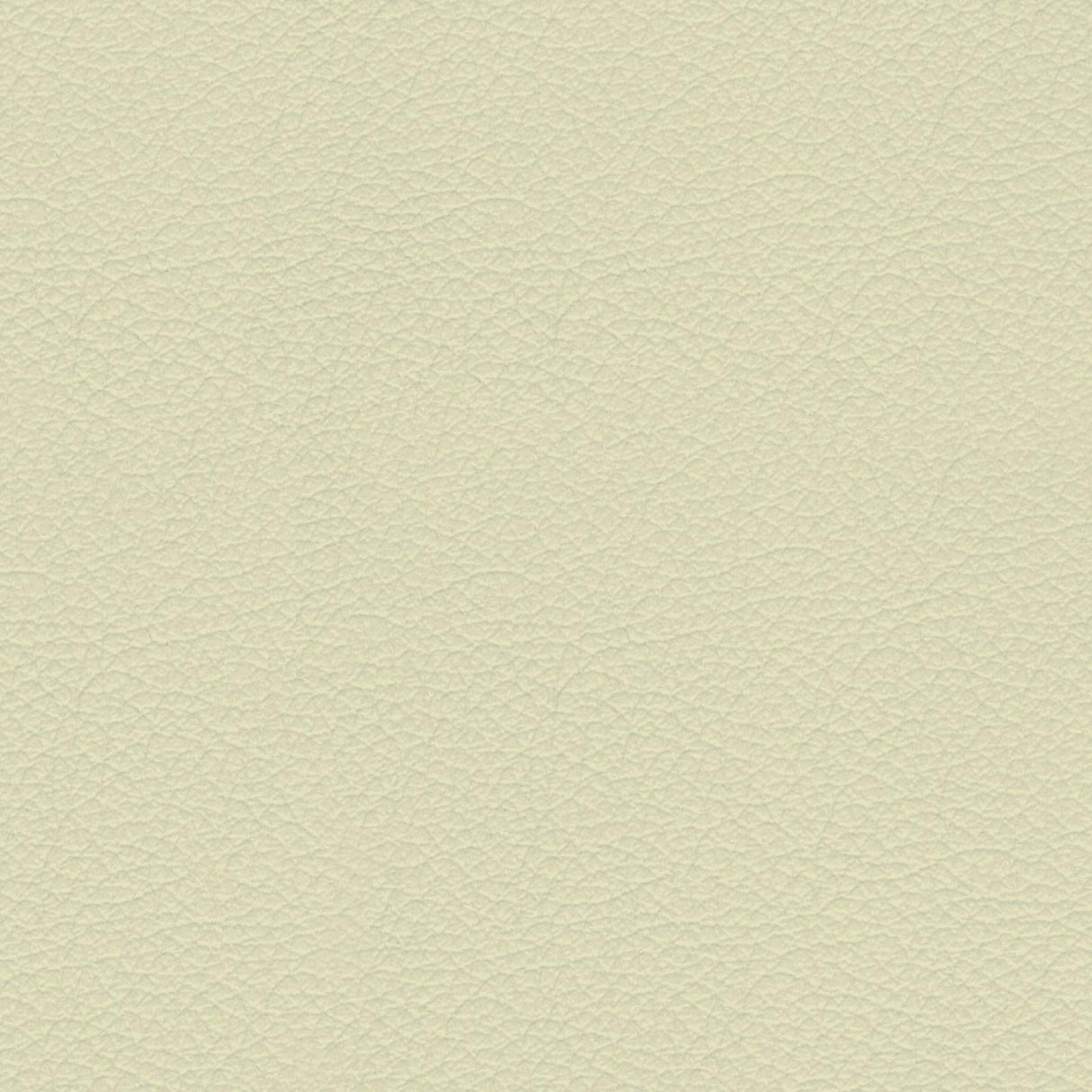Savoy 448014