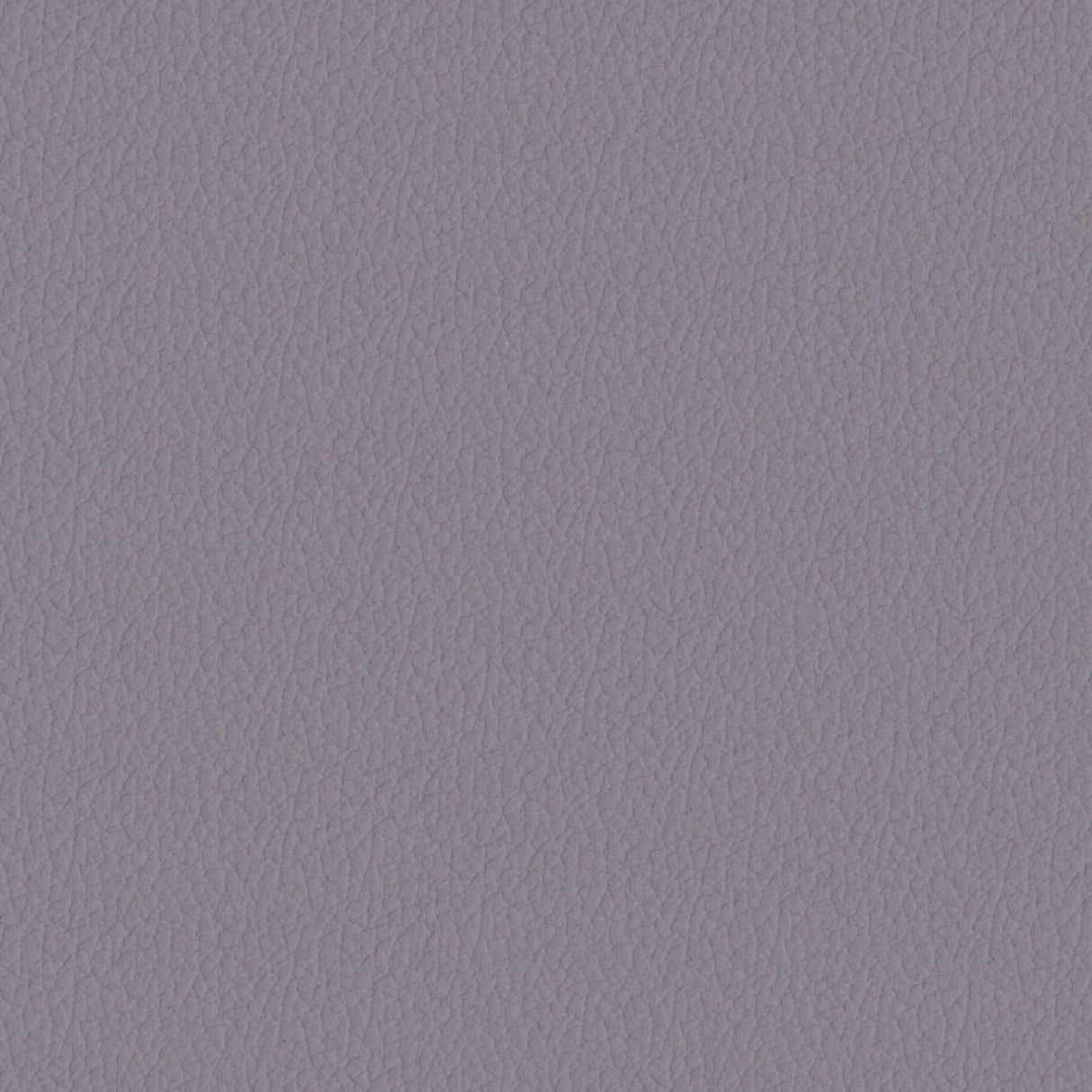 Savoy 449069