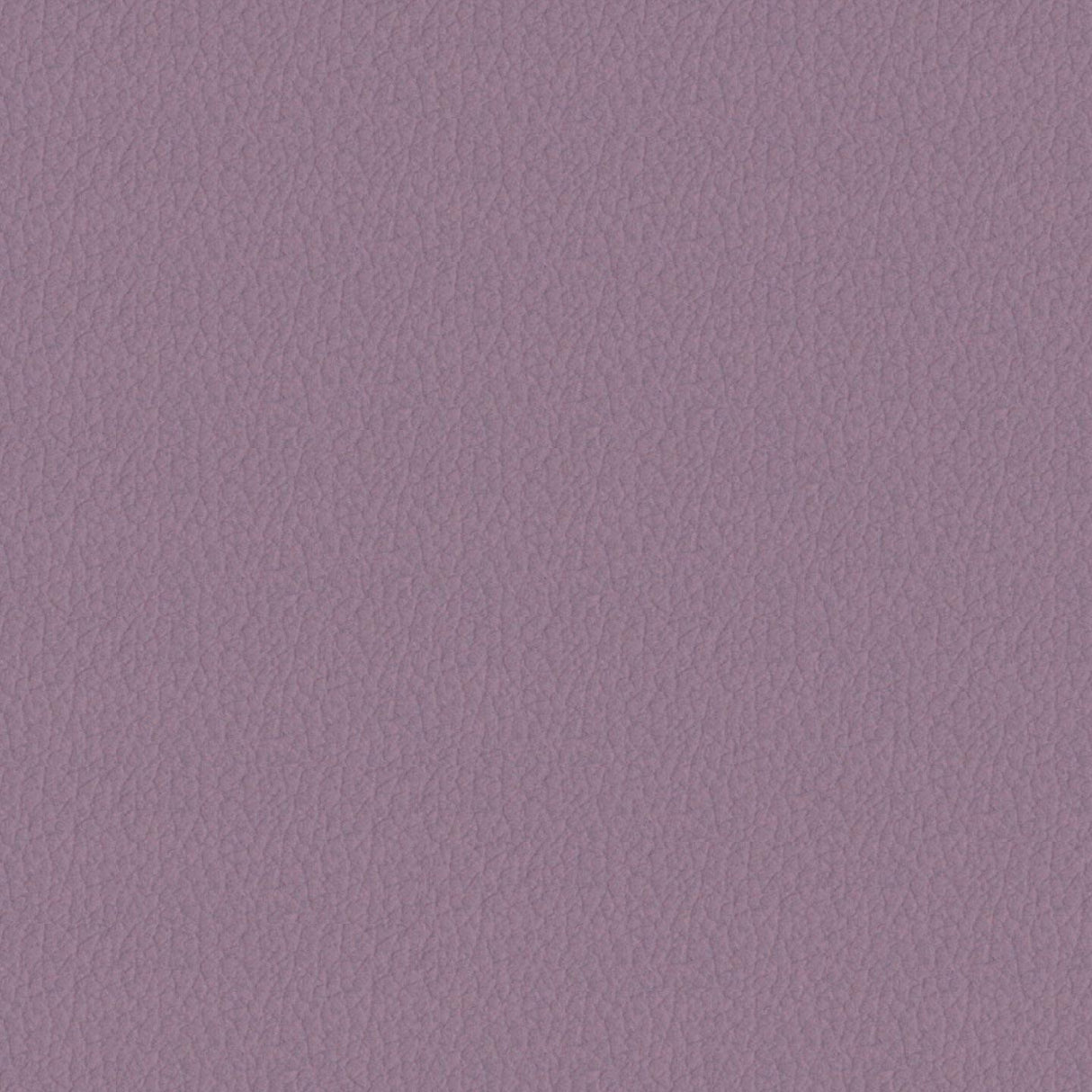 Savoy 450079