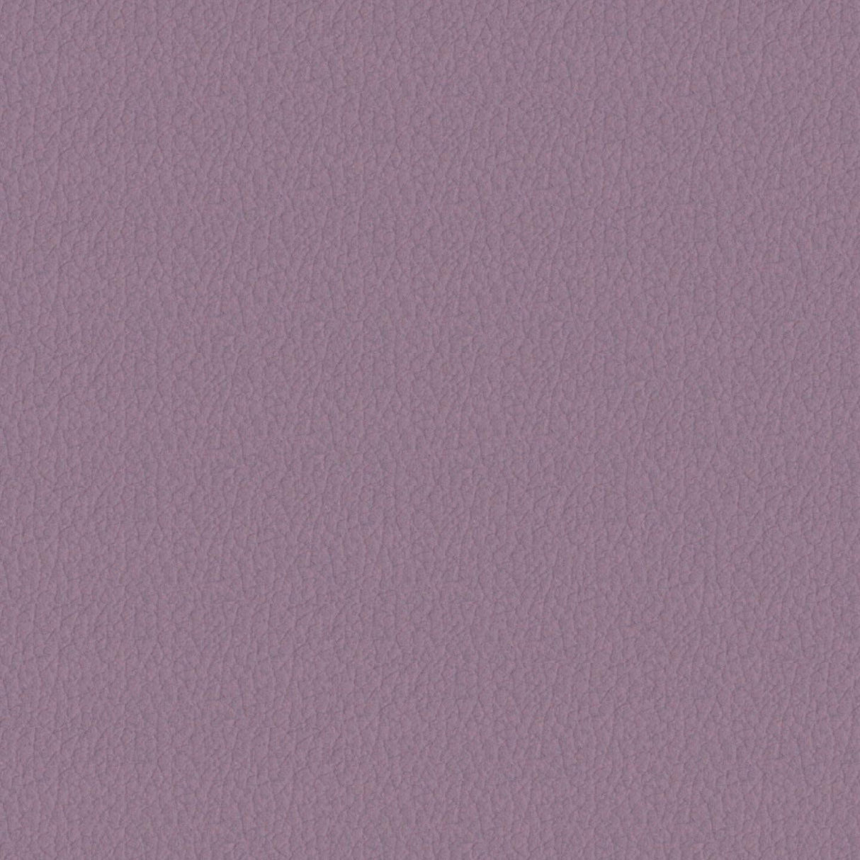 Savoy 450079