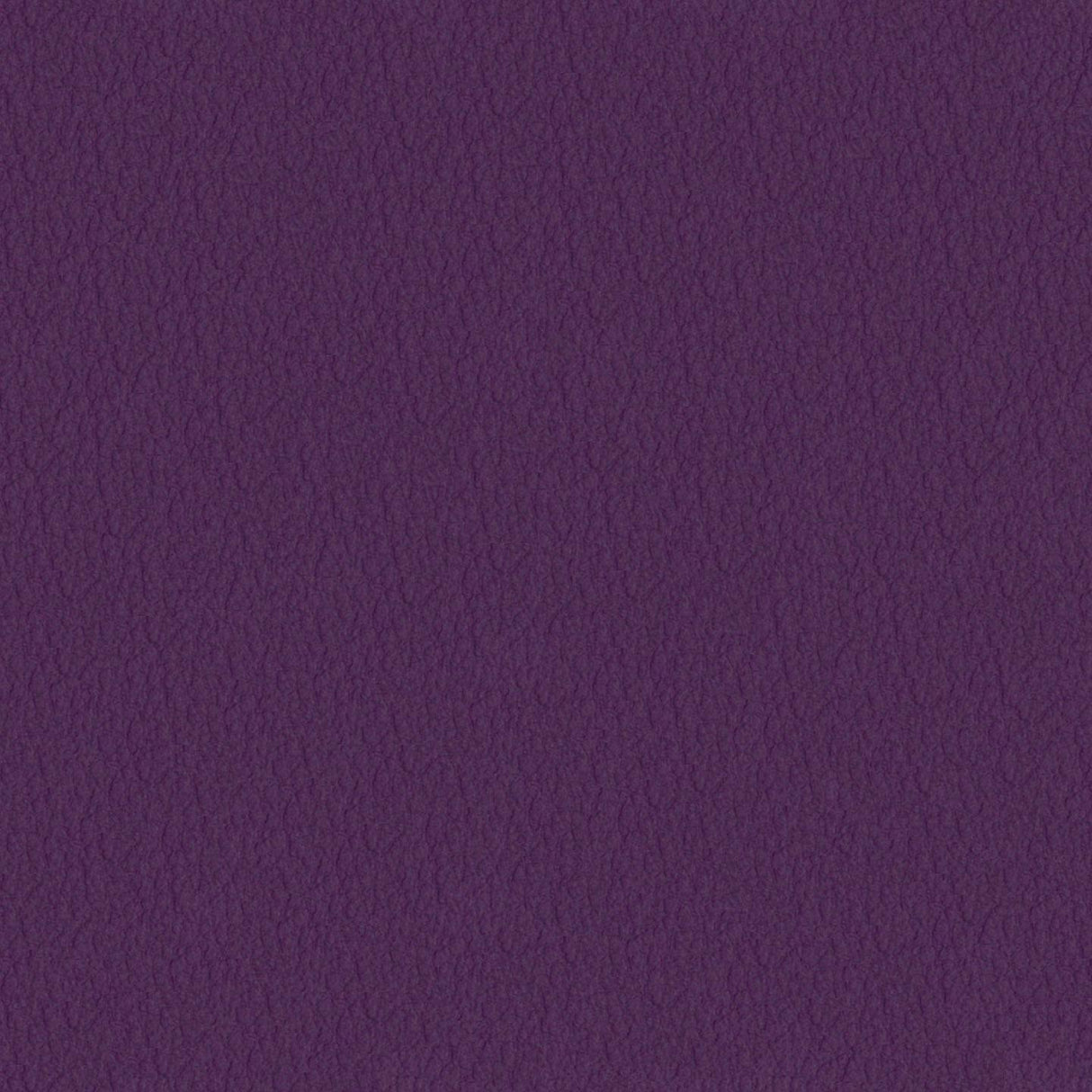 Savoy 451089