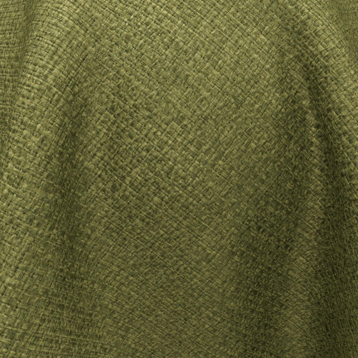 Scorpio 24 Moss