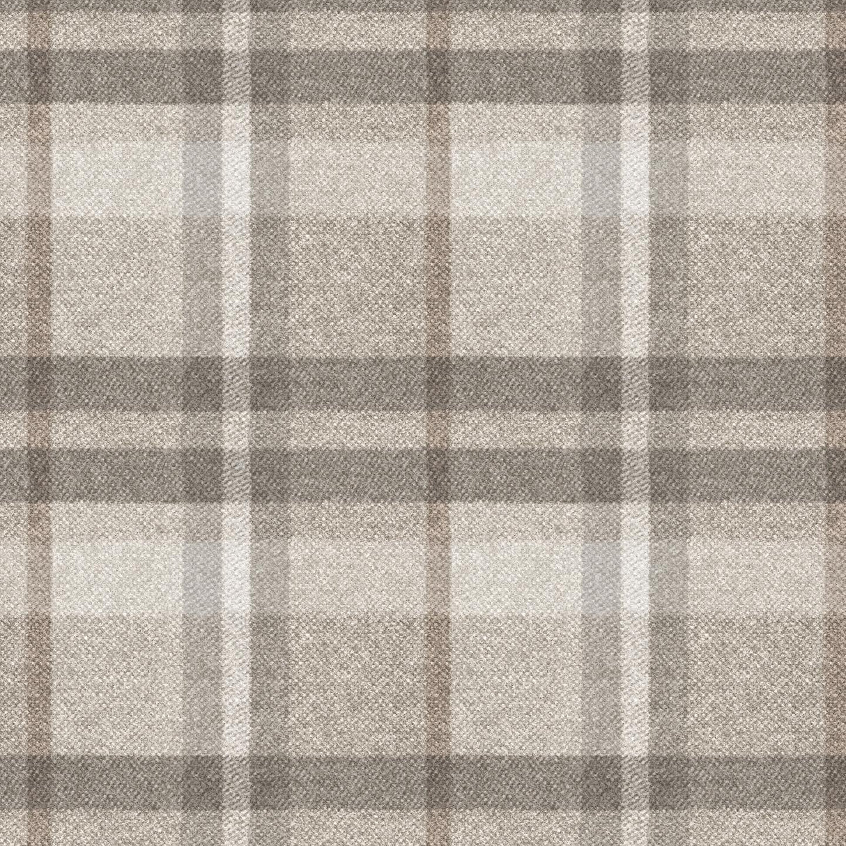 Scotland T14