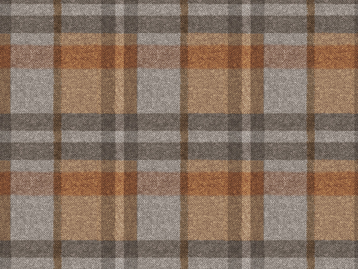 Scotland T49