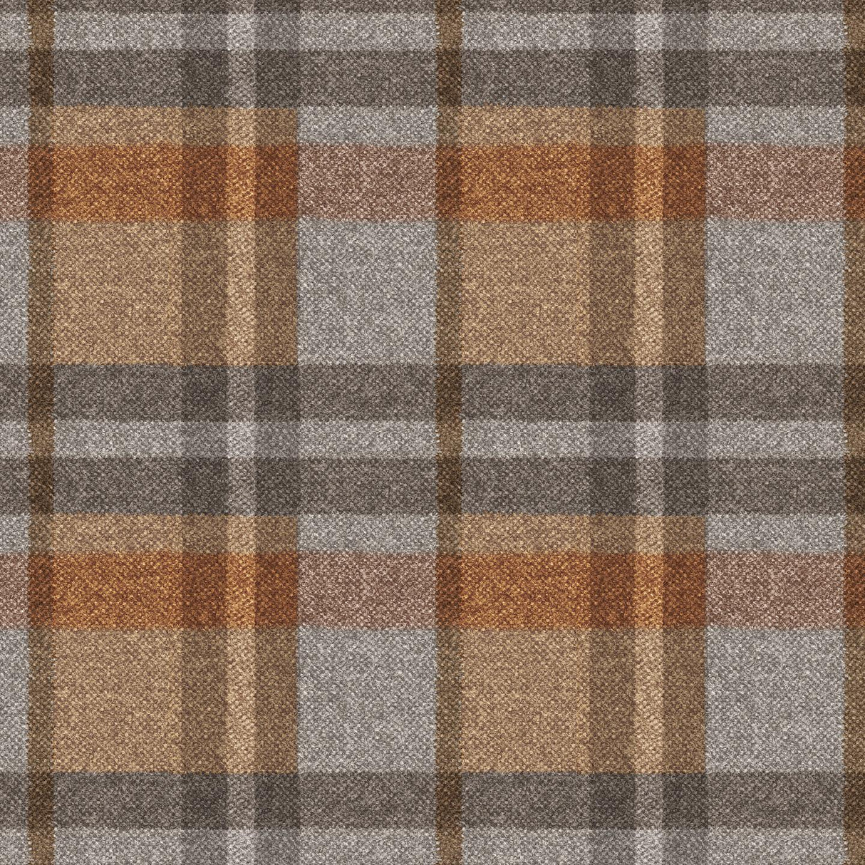 Scotland T49