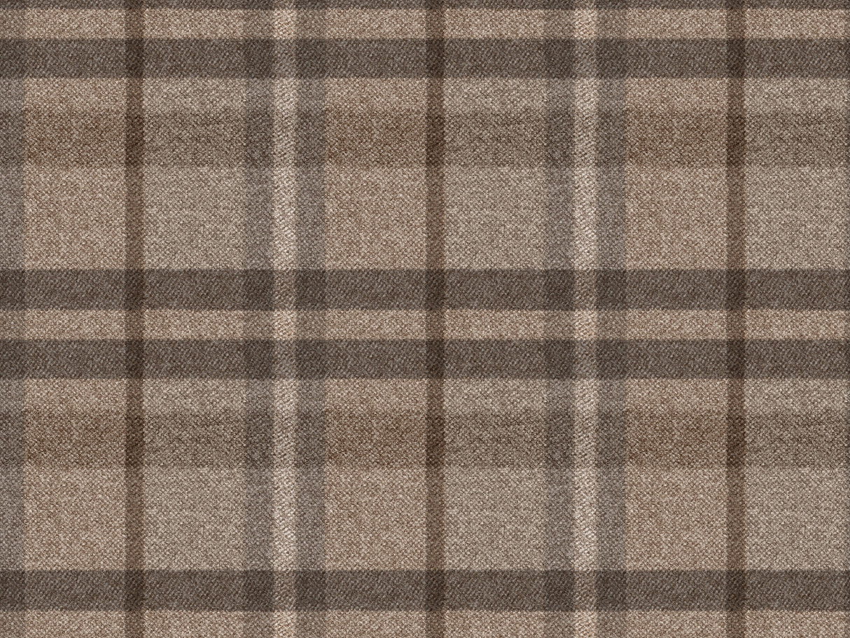 Scotland T54