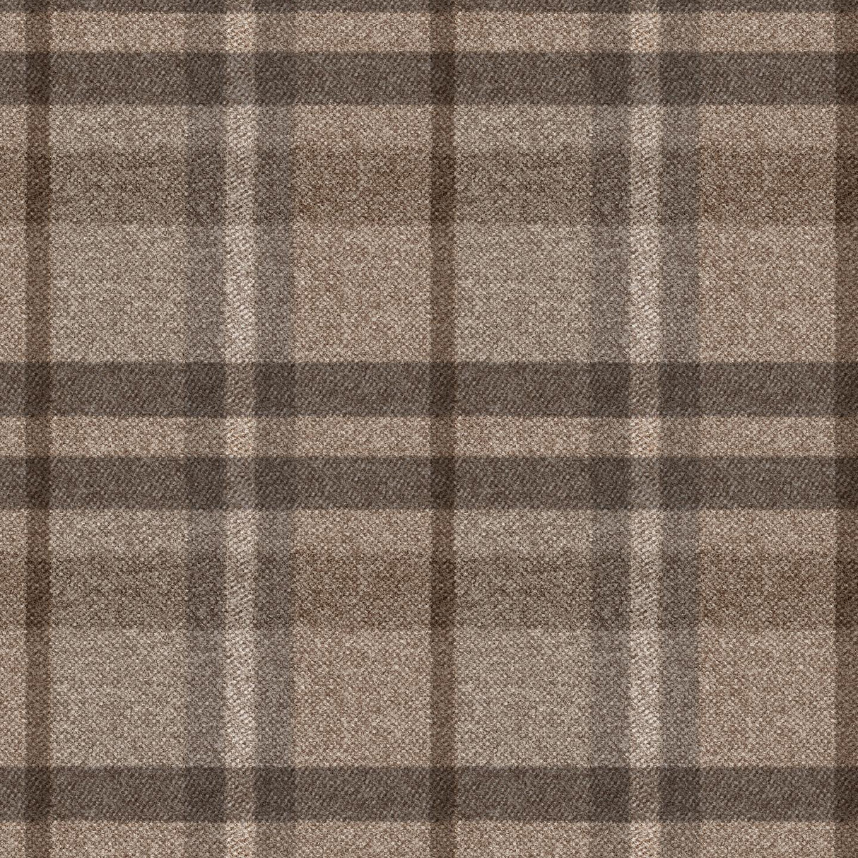 Scotland T54