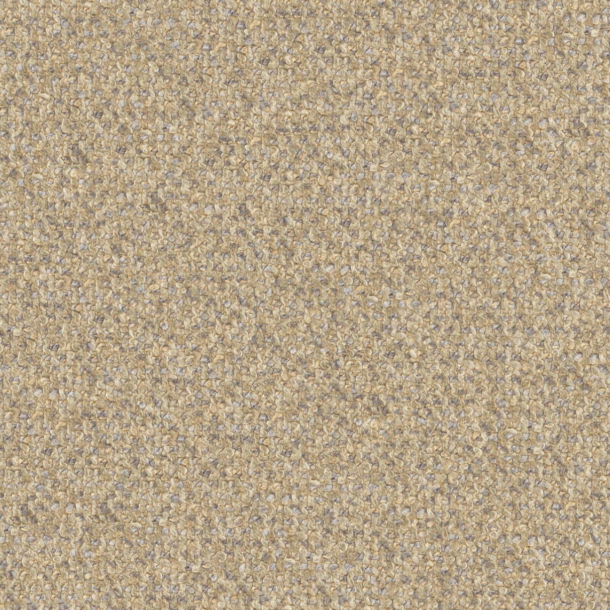 Sonica 20