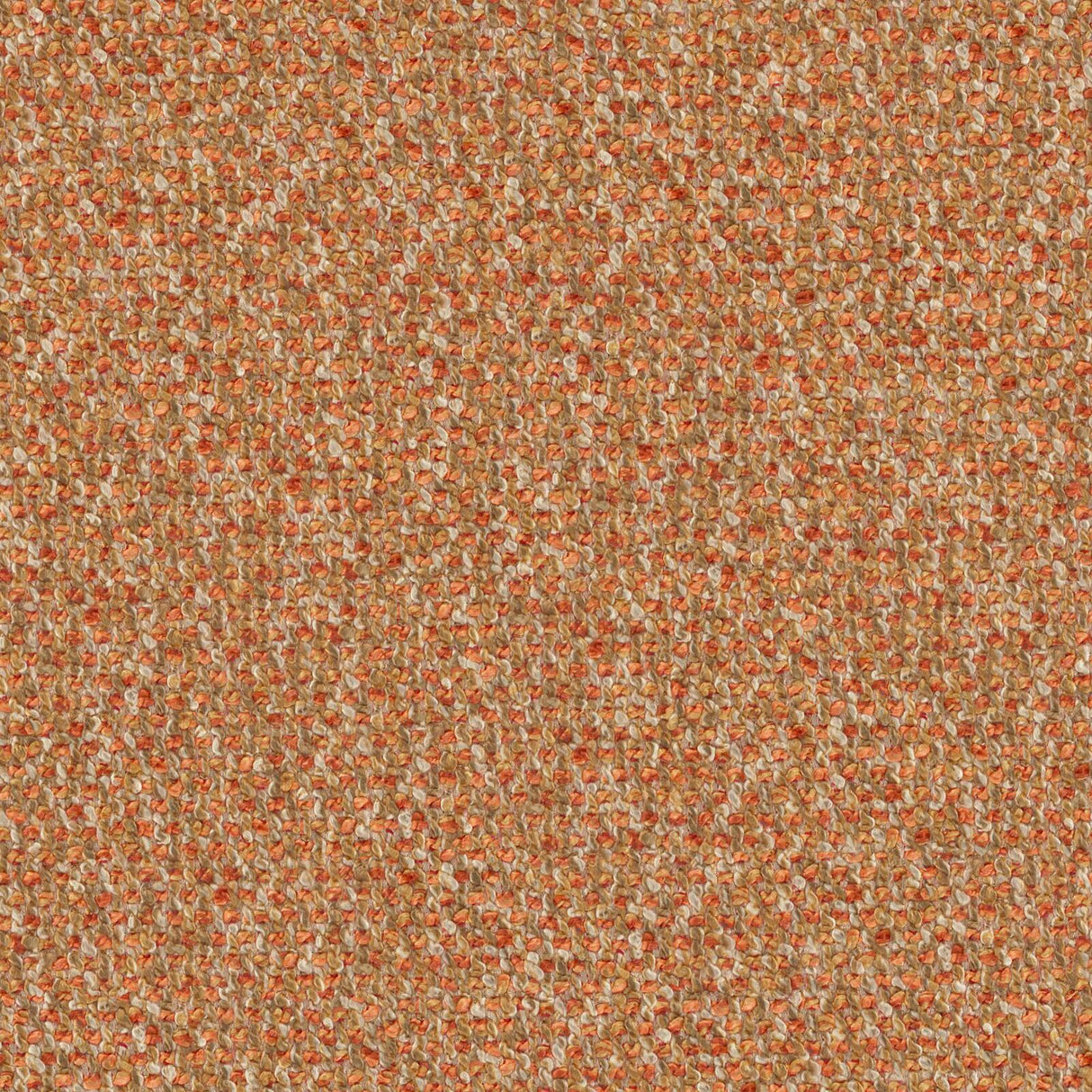 Sonica 25