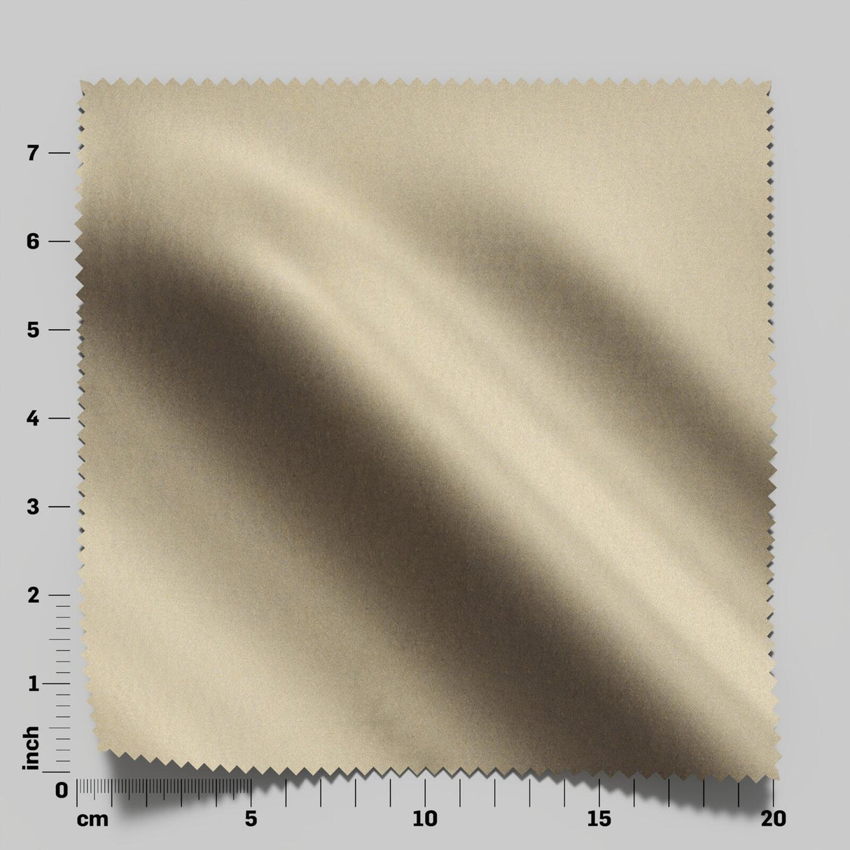 South Face 004 Seagrass