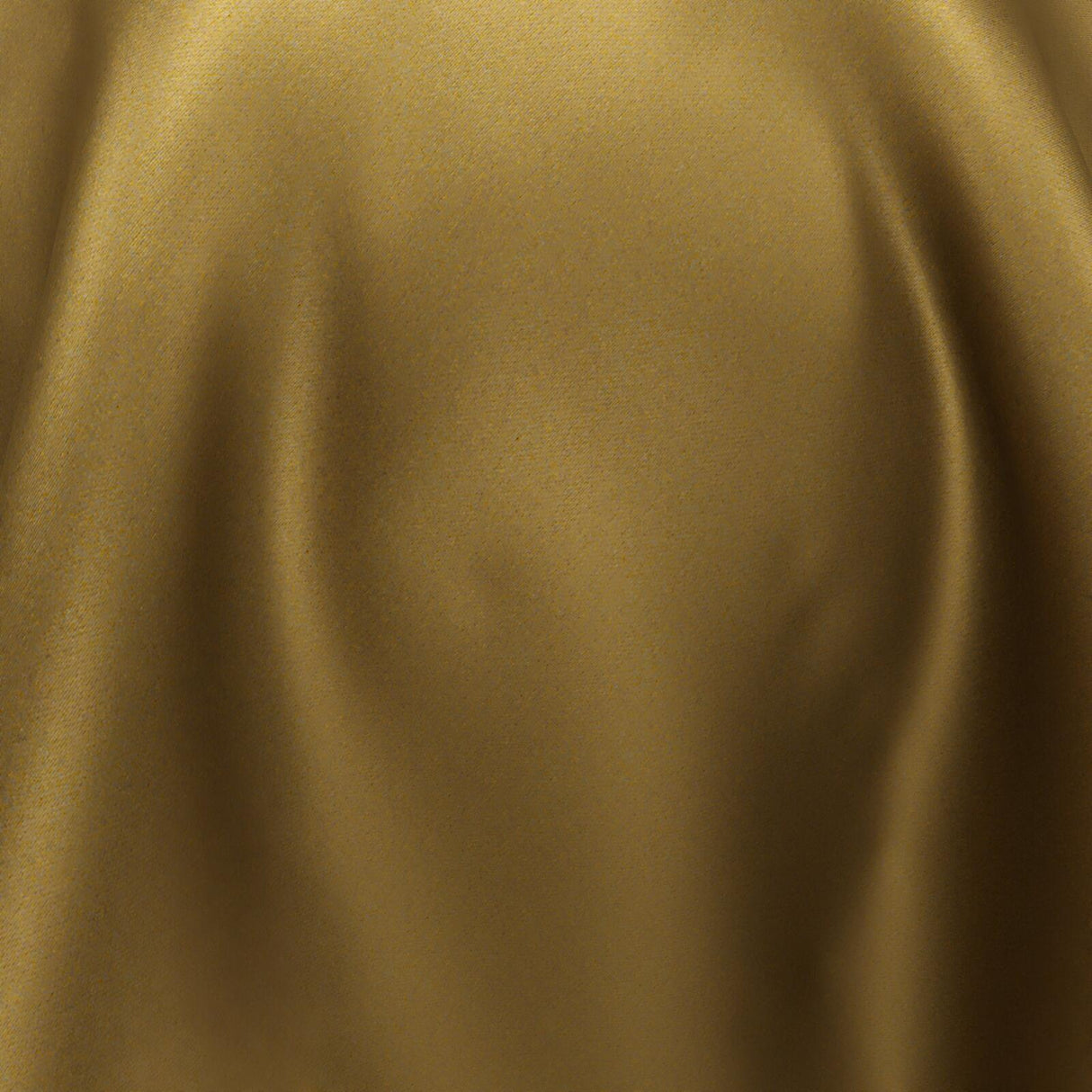 South Face 005 Antelope