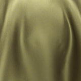 South Face 007 Turtle