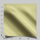 South Face 007 Turtle