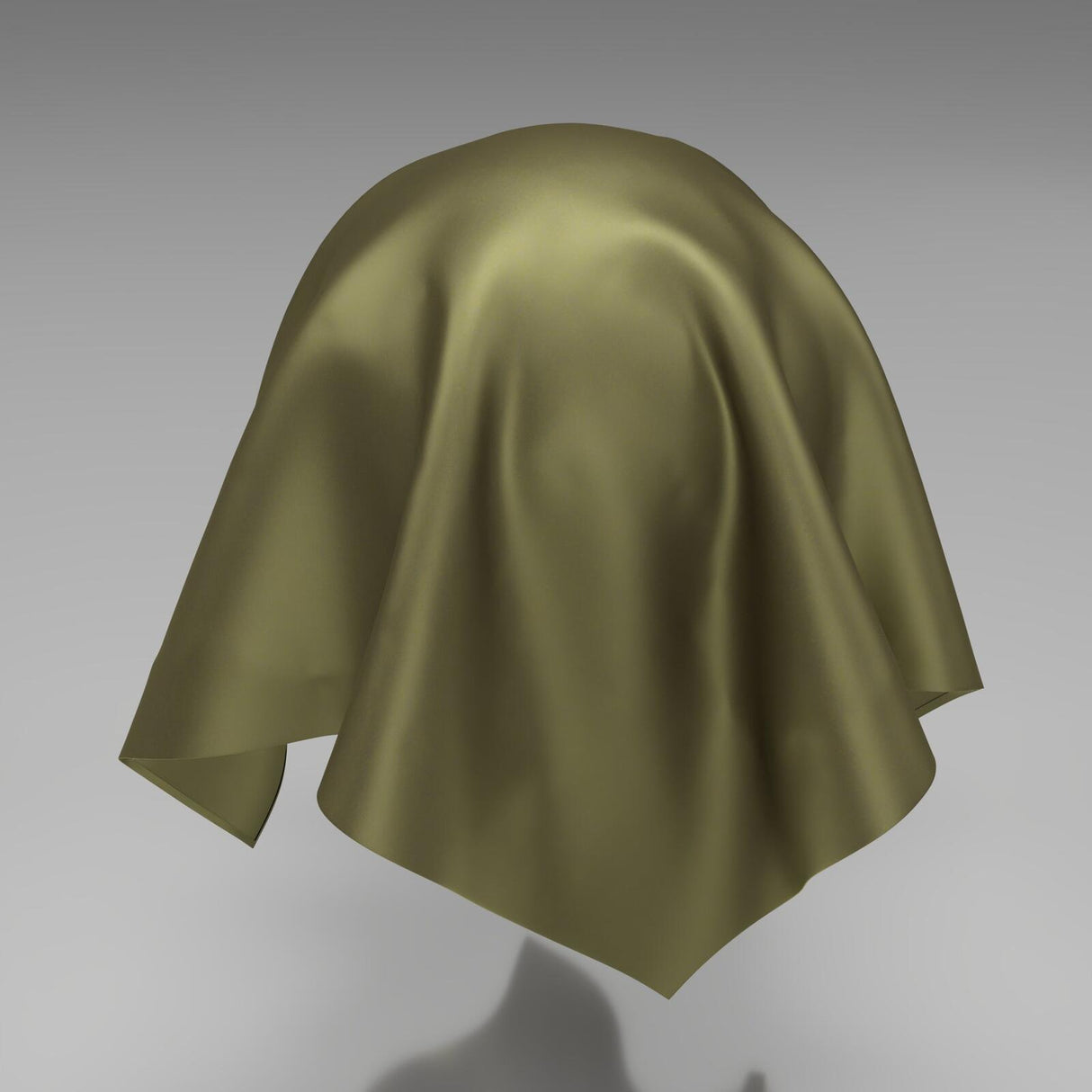 South Face 007 Turtle