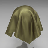 South Face 007 Turtle