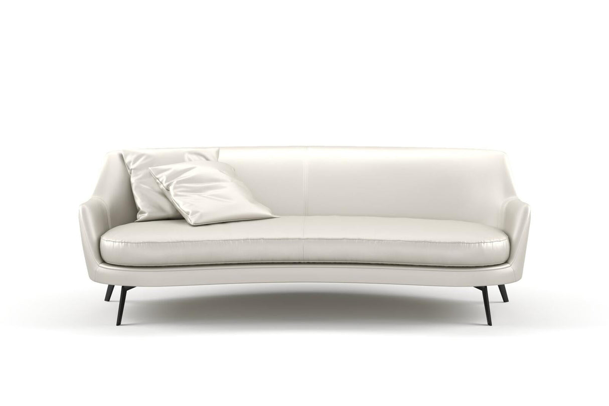 South Face 024 Birch