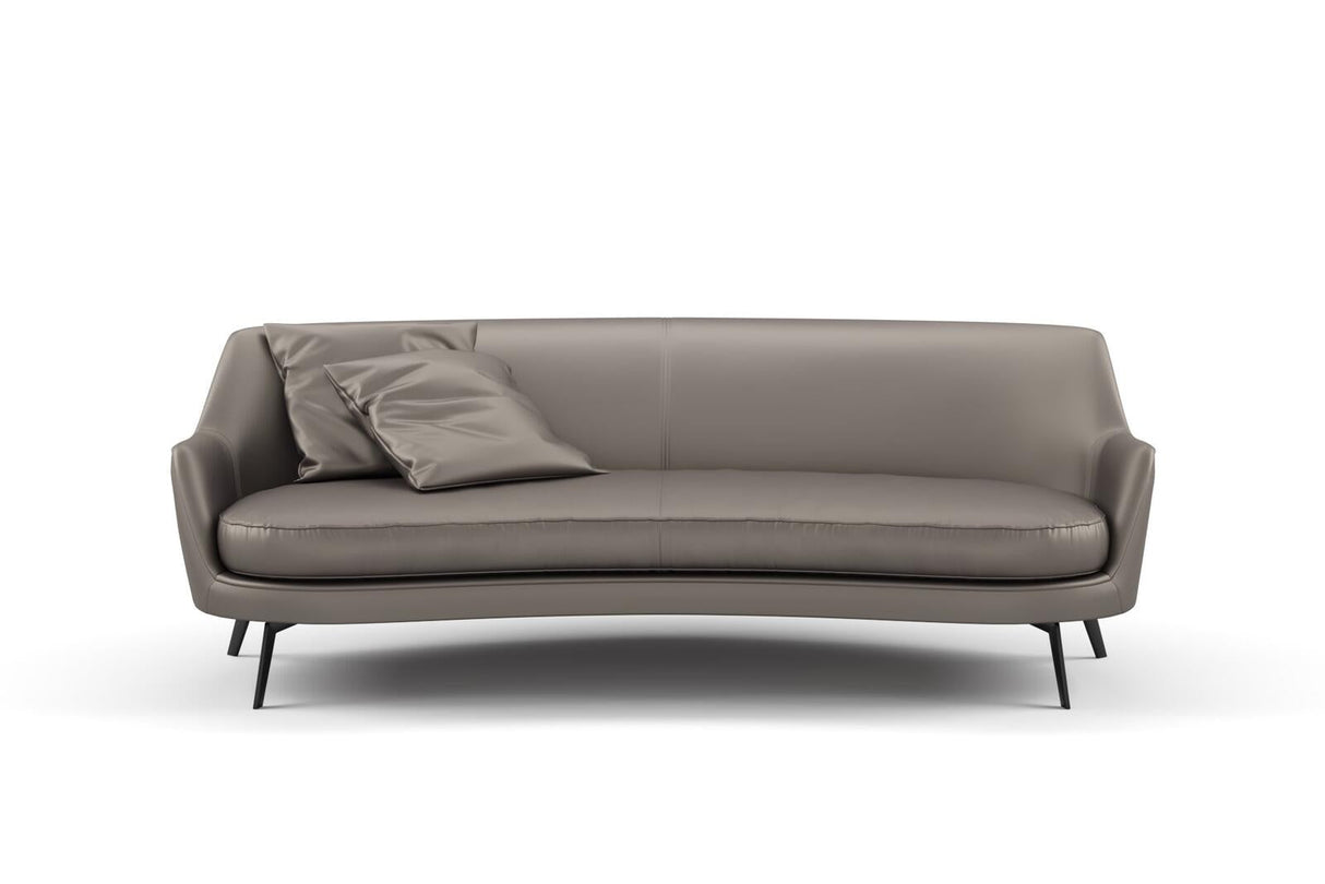 South Face 038 Fossil