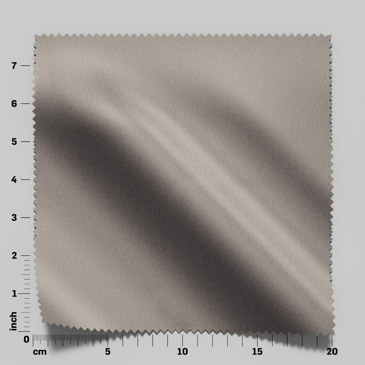 South Face 038 Fossil