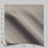 South Face 038 Fossil