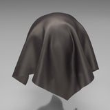 South Face 038 Fossil