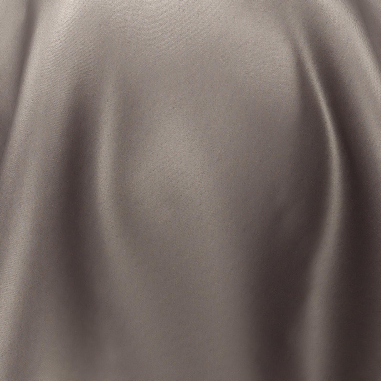 South Face 061 Mushroom