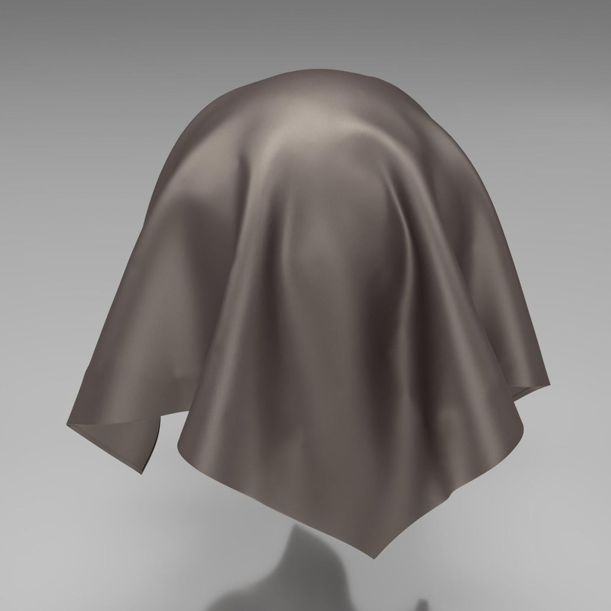 South Face 061 Mushroom