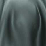 South Face 064 Beetle