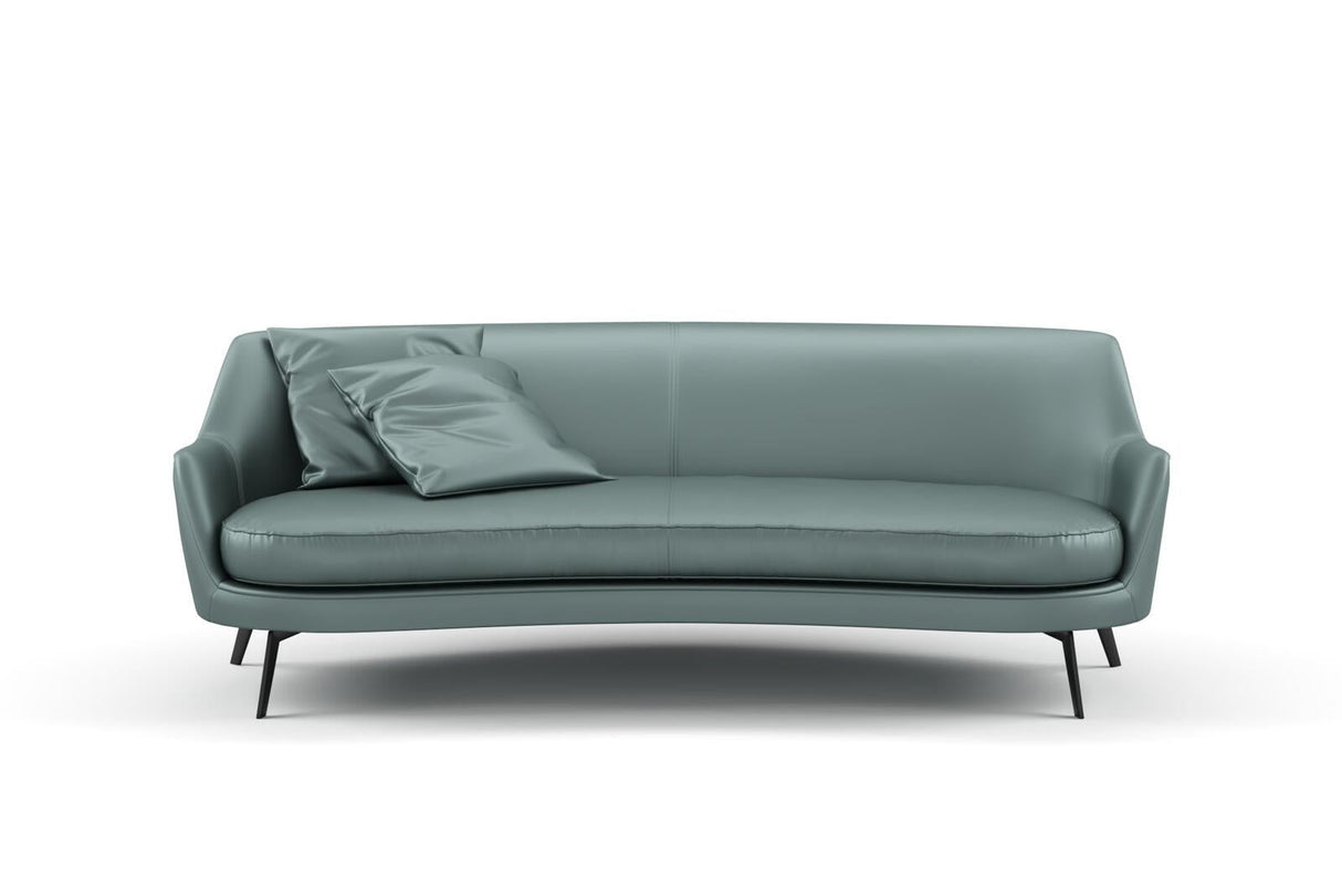 South Face 064 Beetle