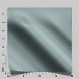 South Face 064 Beetle