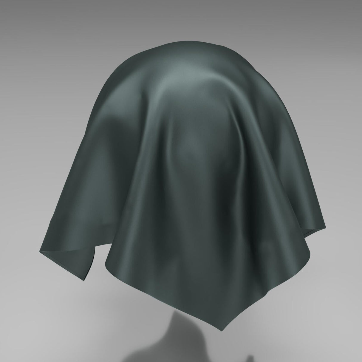 South Face 064 Beetle