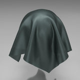 South Face 064 Beetle