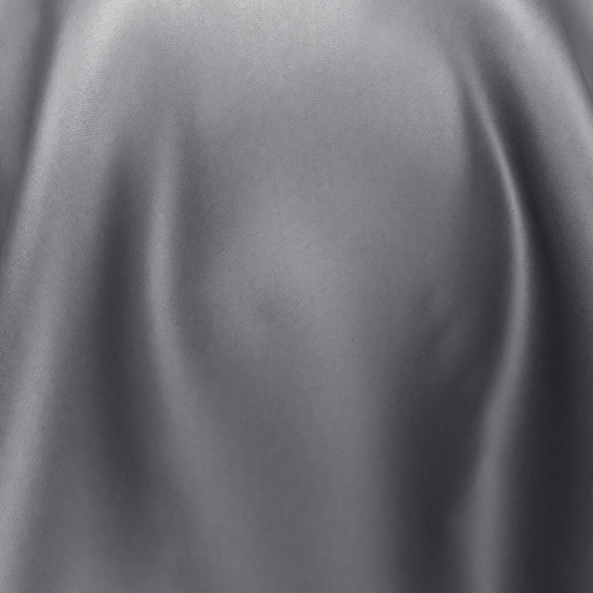 South Face 066 Shark