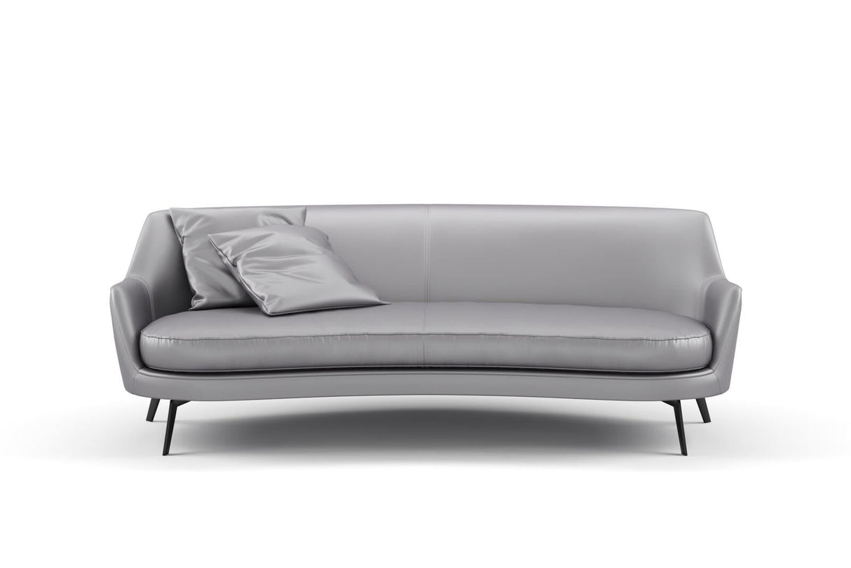 South Face 066 Shark