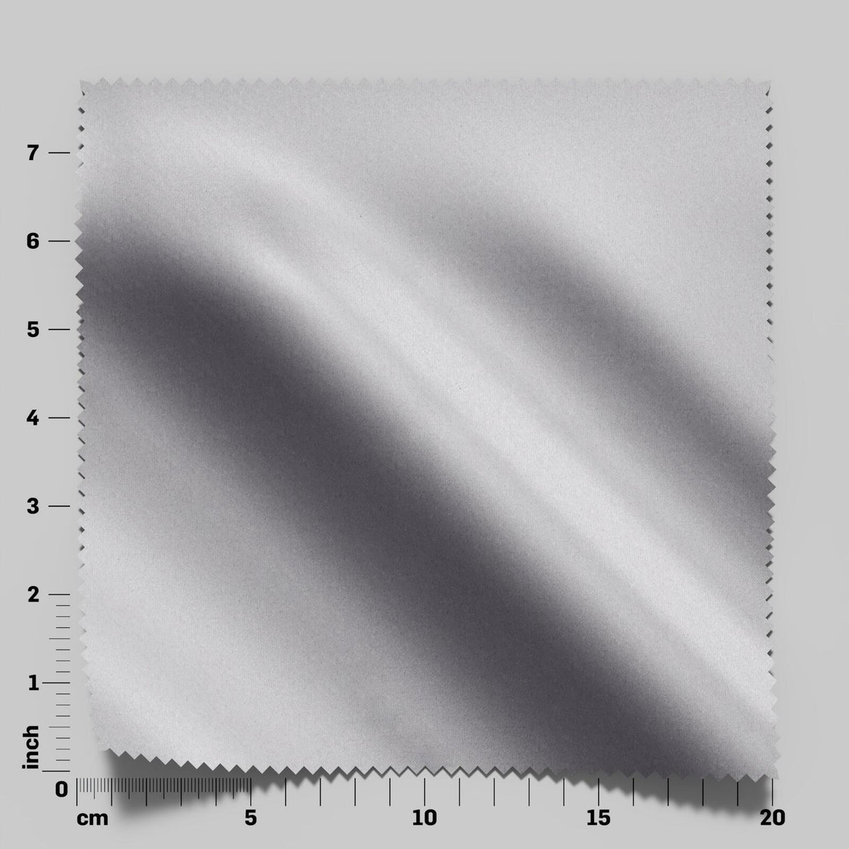 South Face 066 Shark