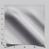 South Face 066 Shark