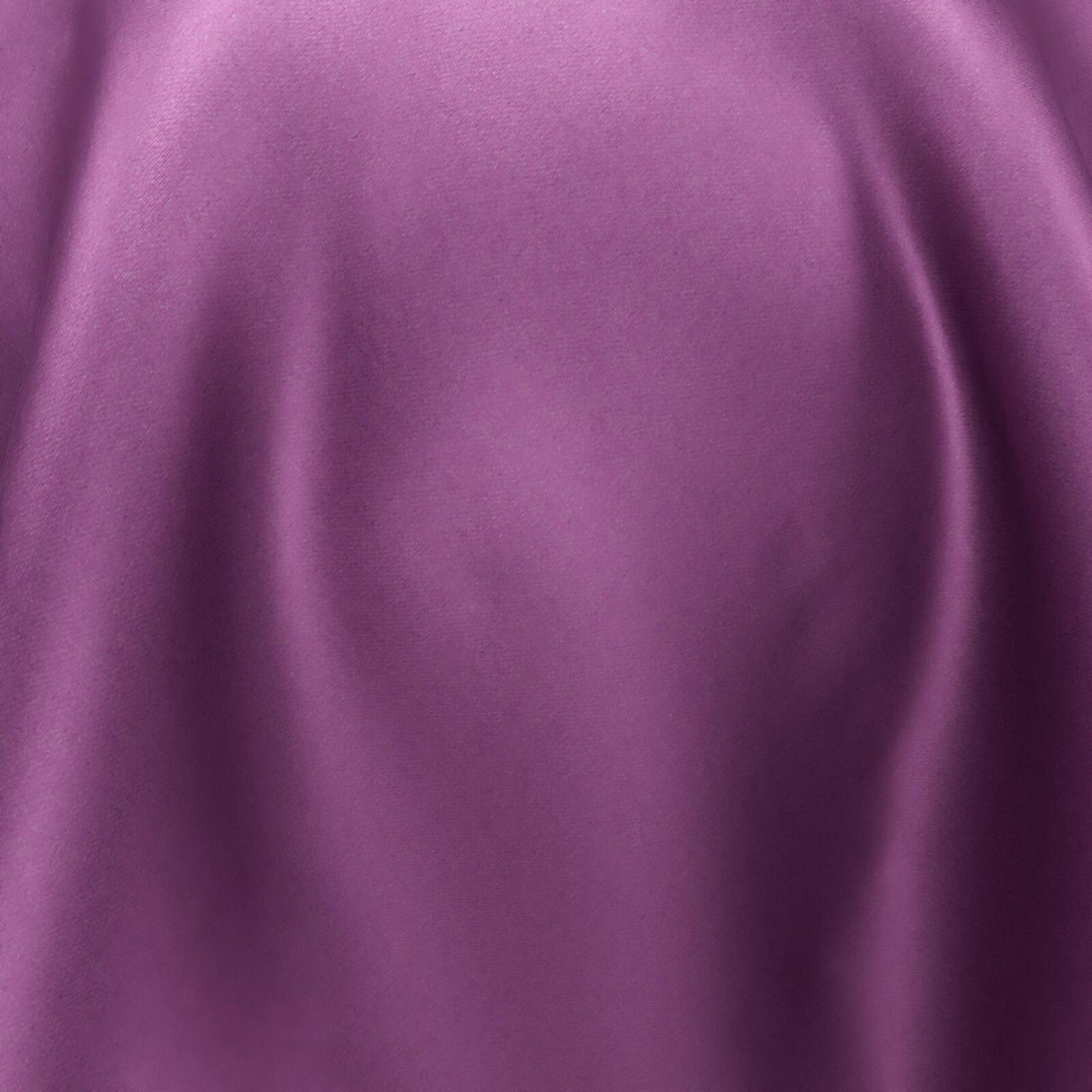 South Face 093 Tulip