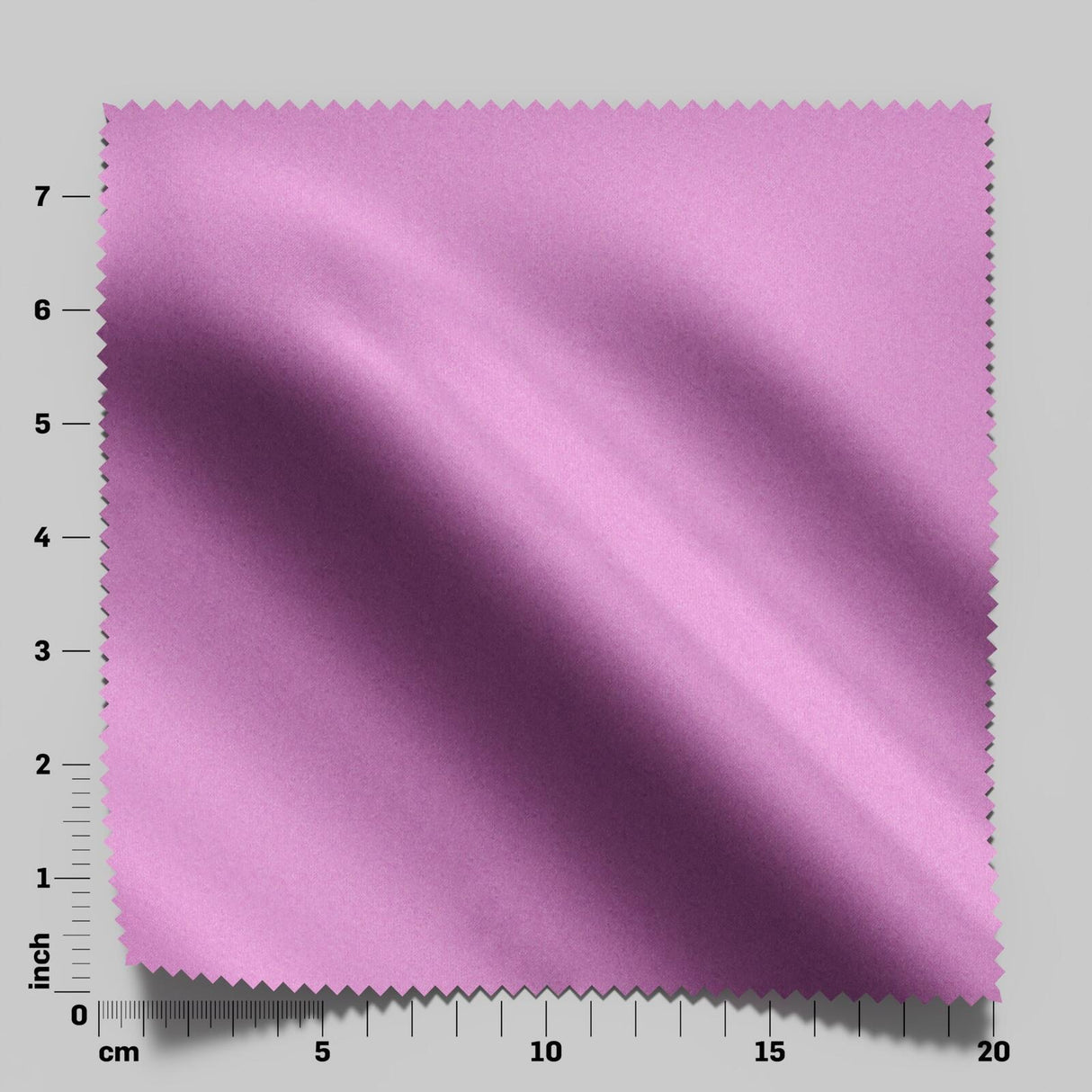 South Face 093 Tulip