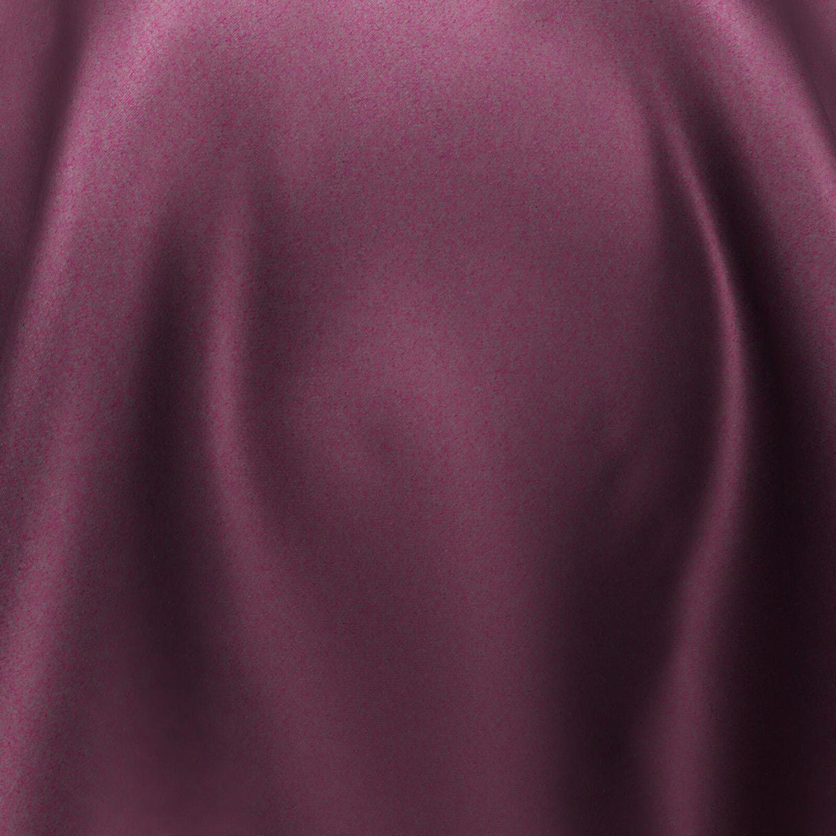 South Face 094 Peony