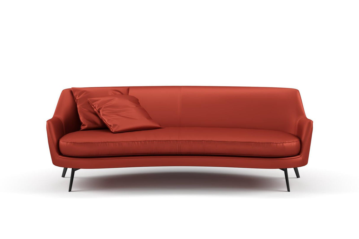 South Face 099 Auburn