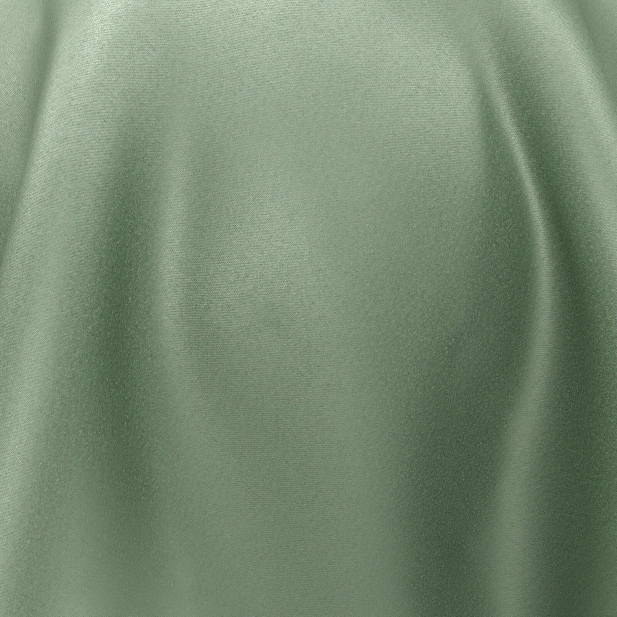 South Face 115 Linden