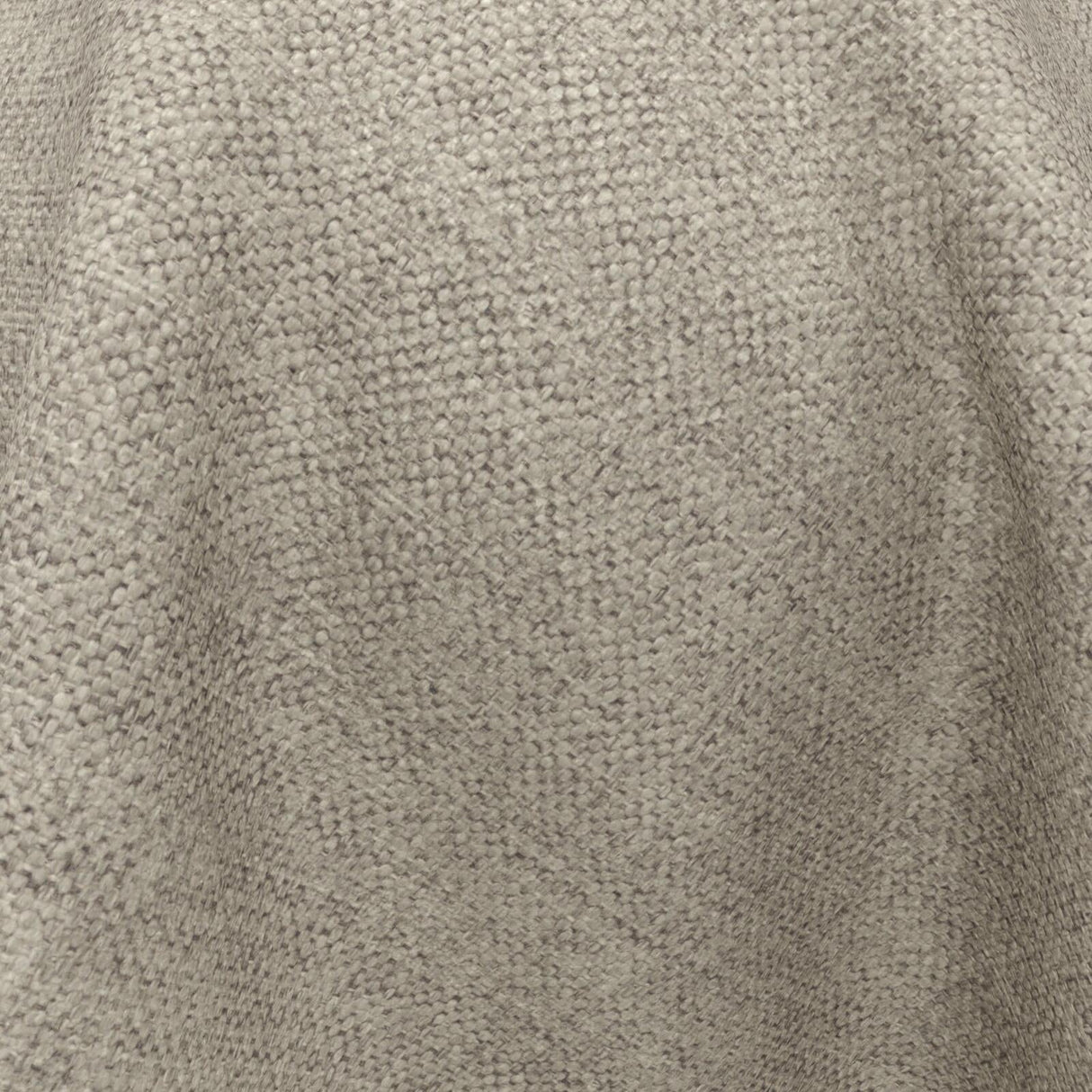 Wilderness 06 Mushroom