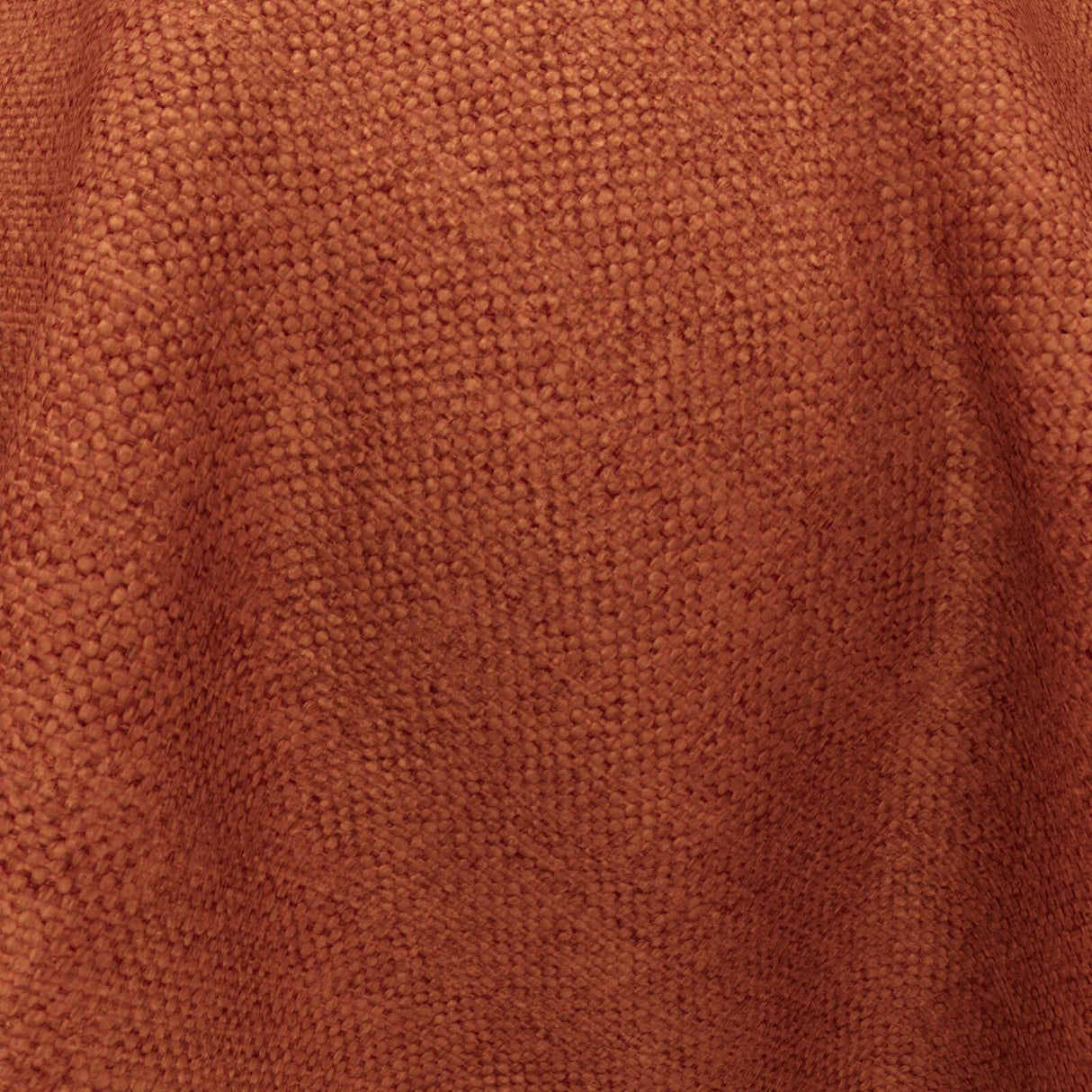 Wilderness 22 Pumpkin