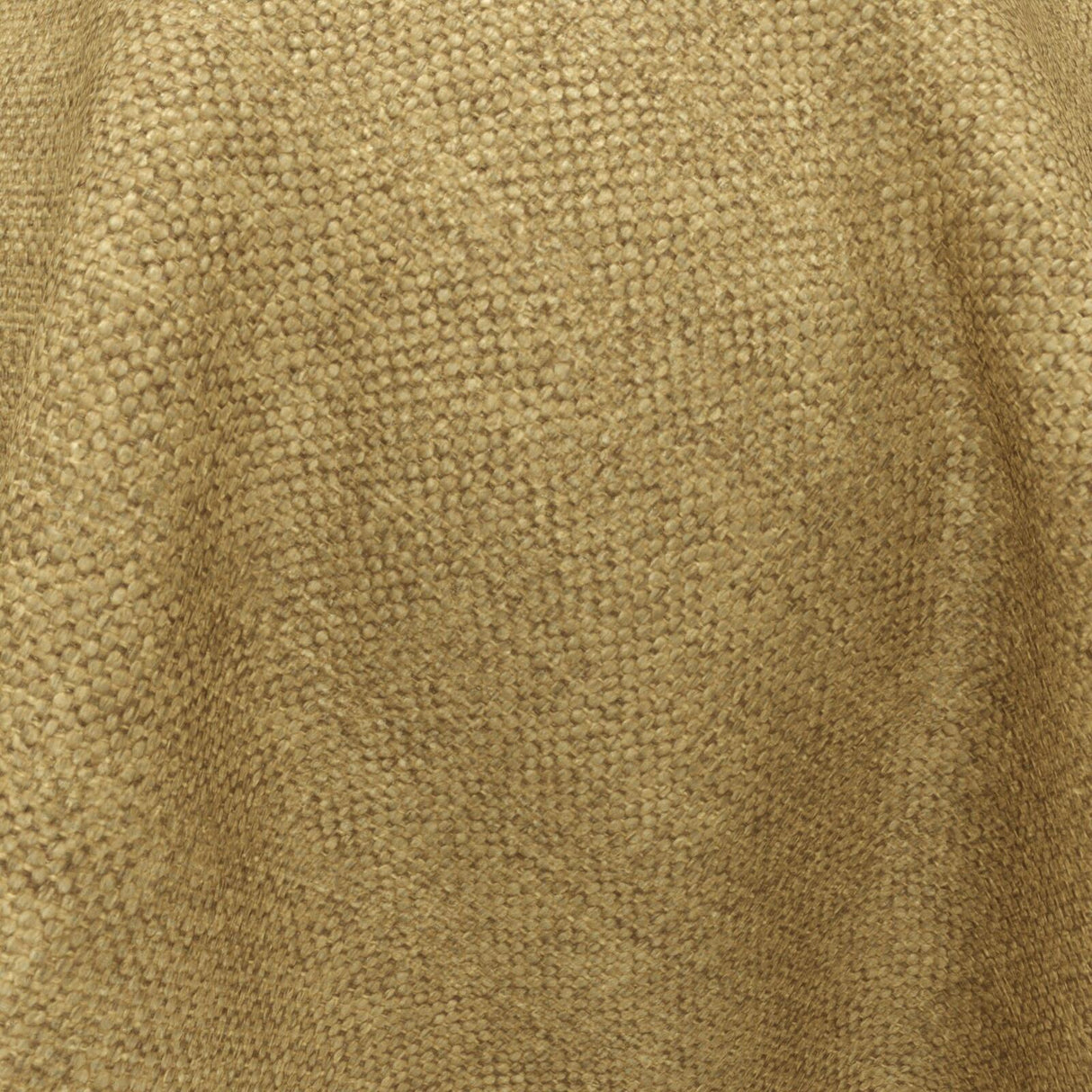 Wilderness 23 Ginger