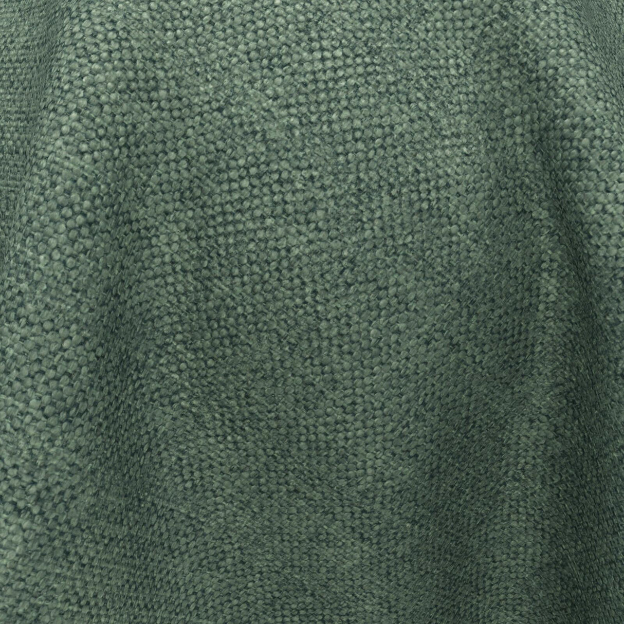 Wilderness 26 Cactus