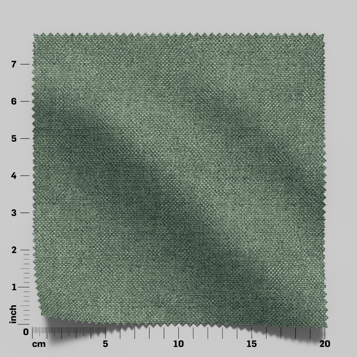 Wilderness 26 Cactus